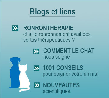 infosveterinairestoulouse